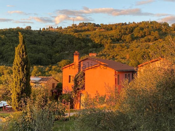 casa indipendente in vendita a Fosdinovo in zona Caprognano