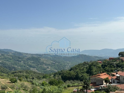 esavano in vendita a Fosdinovo in zona Canepari