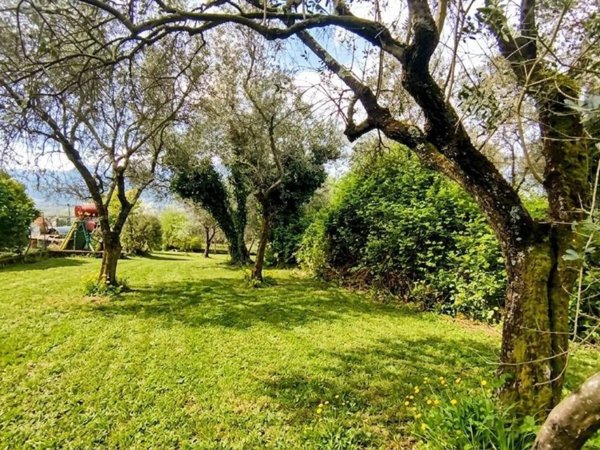 terreno agricolo in vendita a Fosdinovo in zona Caprognano