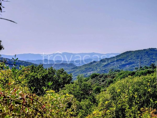terreno in vendita a Fosdinovo in zona Giucano
