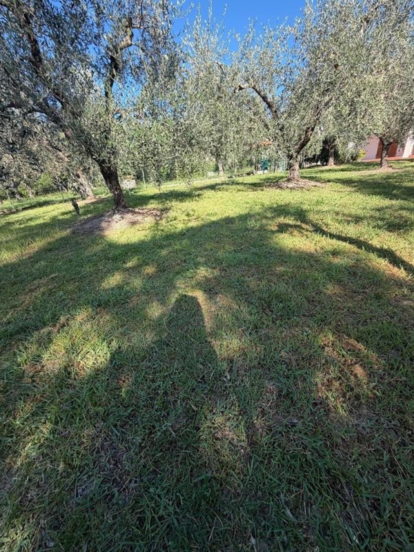 casa indipendente in vendita a Fosdinovo in zona Caniparola