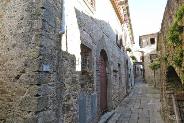 casa indipendente in vendita a Licciana Nardi