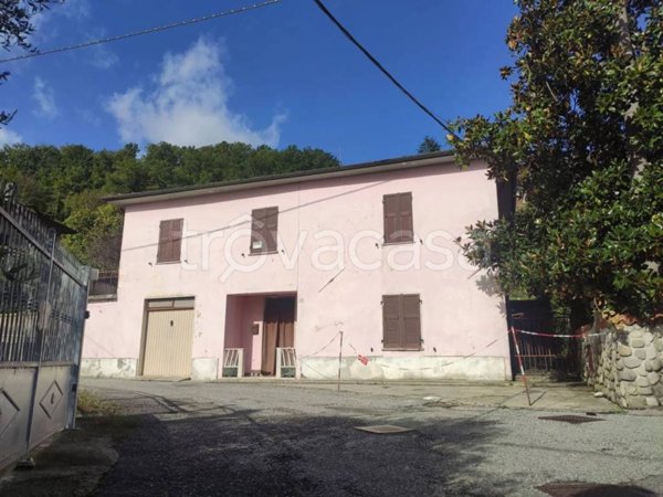 casa indipendente in vendita a Licciana Nardi in zona Monti