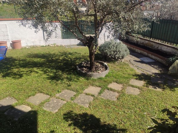 appartamento in vendita a Licciana Nardi in zona Terrarossa