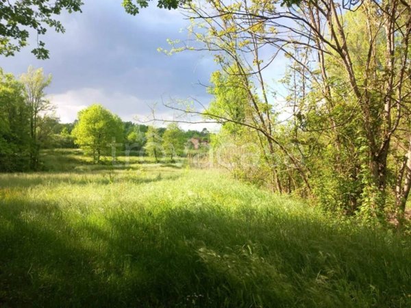 casa indipendente in vendita a Licciana Nardi in zona Terrarossa
