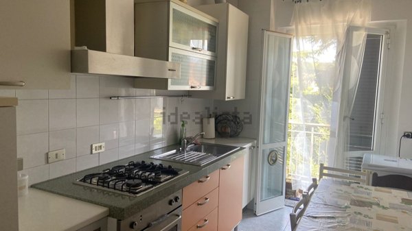 appartamento in vendita a Licciana Nardi