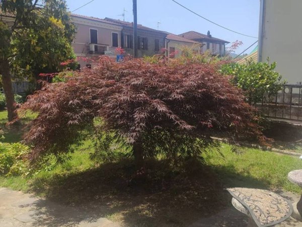 casa indipendente in vendita a Licciana Nardi in zona Monti