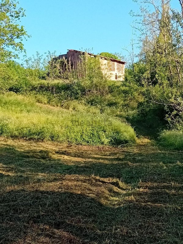esavano in vendita a Licciana Nardi in zona Terrarossa