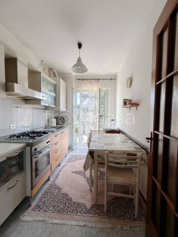 appartamento in vendita a Licciana Nardi in zona Terrarossa