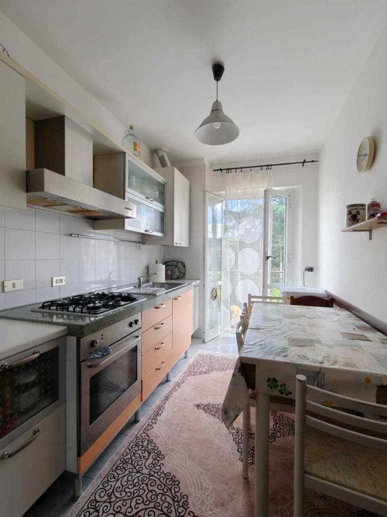 appartamento in vendita a Licciana Nardi in zona Terrarossa