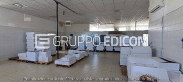 negozio in vendita a Licciana Nardi