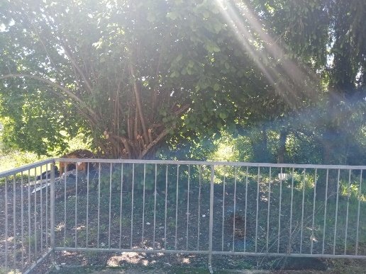 appartamento in vendita a Licciana Nardi