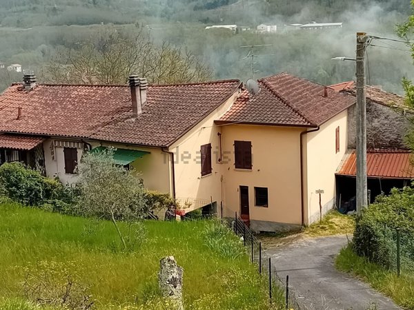 casa indipendente in vendita a Licciana Nardi in zona Monti