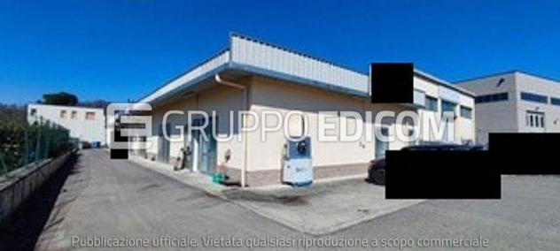 negozio in vendita a Licciana Nardi