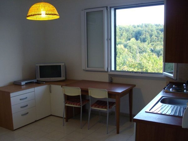 appartamento in vendita a Licciana Nardi