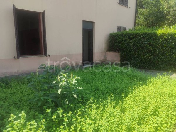 casa indipendente in vendita a Licciana Nardi in zona Monti