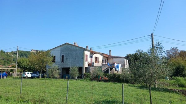 casa indipendente in vendita a Licciana Nardi in zona Monti