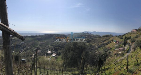terreno agricolo in vendita a Massa