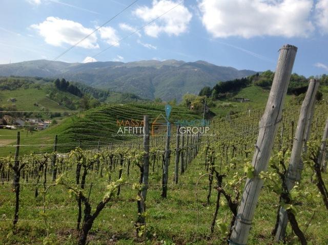 terreno agricolo in vendita a Massa in zona Candia