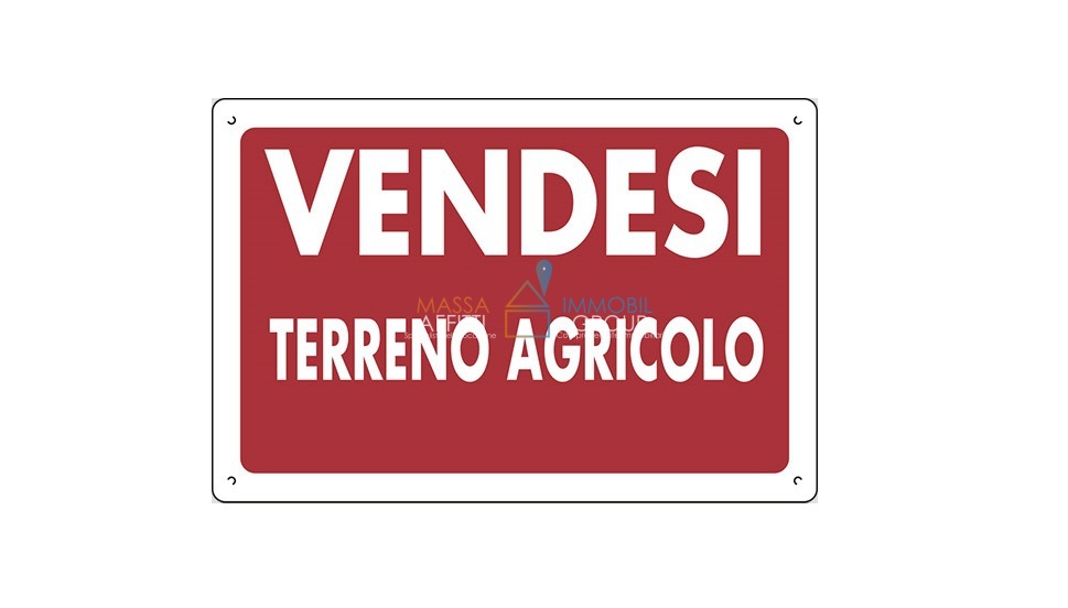 terreno agricolo in vendita a Massa