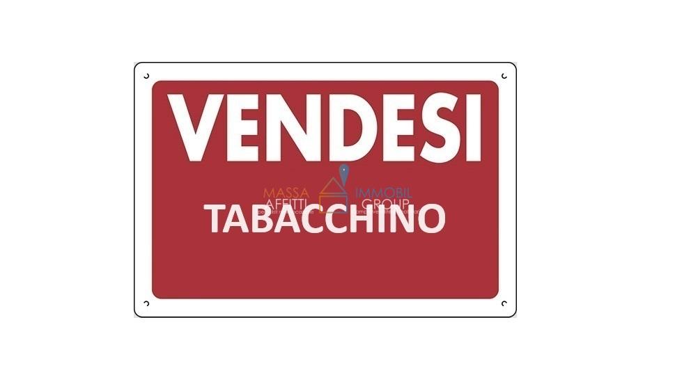 appartamento in vendita a Massa