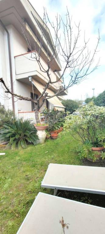 casa indipendente in vendita a Massa in zona Marina di Massa