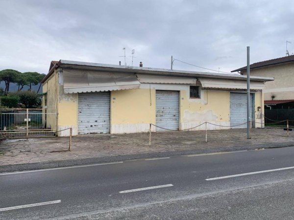 casa indipendente in vendita a Massa in zona Marina di Massa