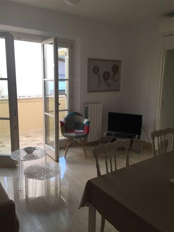 appartamento in vendita a Massa in zona Marina dei Ronchi