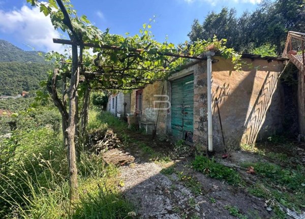 terreno agricolo in vendita a Massa in zona Antona