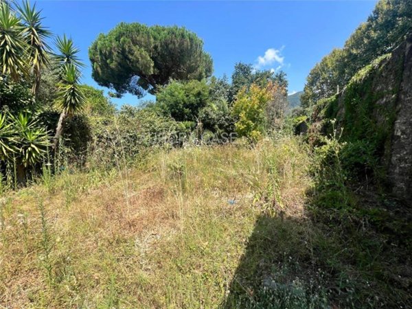 casa indipendente in vendita a Massa in zona Centro Storico