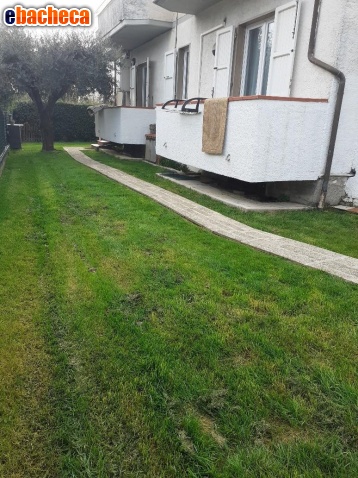 appartamento in vendita a Massa in zona Marina dei Ronchi