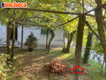 casa indipendente in vendita a Massa in zona Marina di Massa