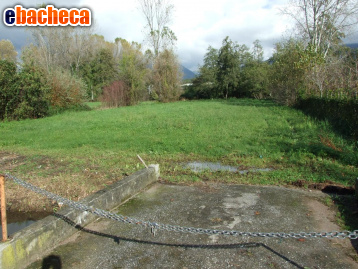 terreno agricolo in vendita a Massa in zona Marina dei Ronchi