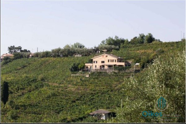 azienda agricola in vendita a Massa