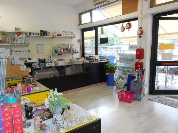 casa indipendente in vendita a Massa in zona Marina di Massa