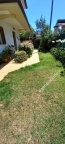 casa indipendente in vendita a Massa in zona Quercioli