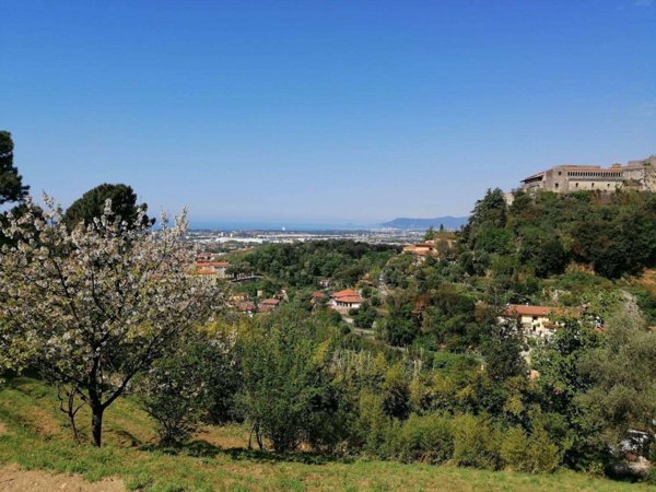 casa indipendente in vendita a Massa