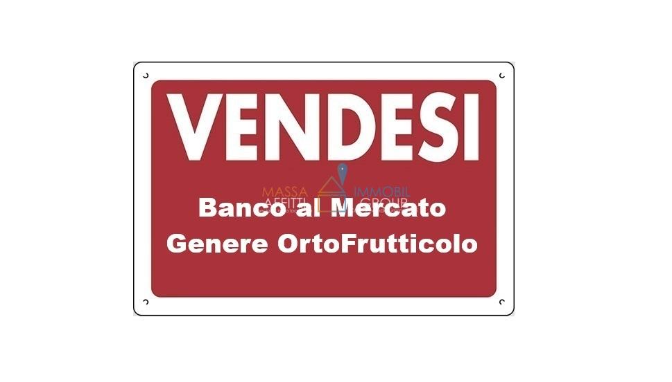 appartamento in vendita a Massa