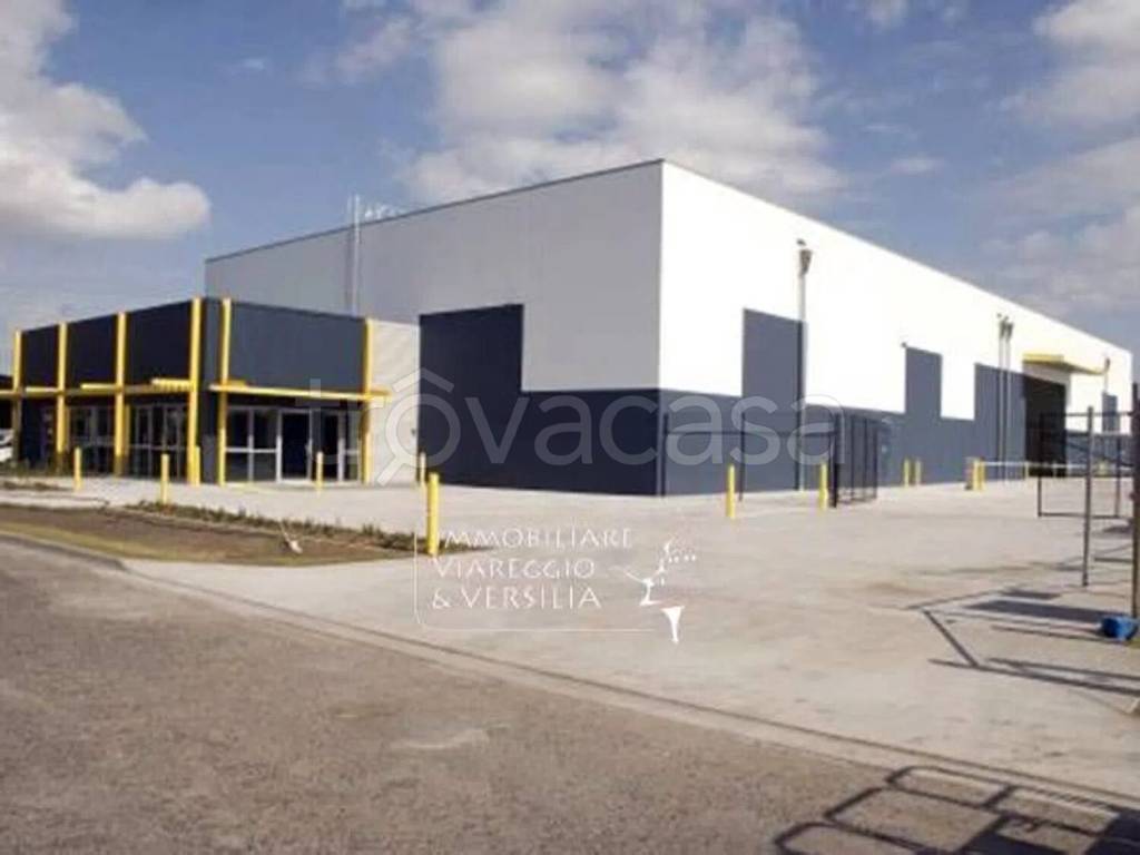 appartamento in vendita a Massa in zona Centro Storico