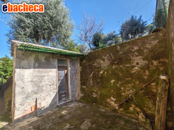 appartamento in vendita a Massa