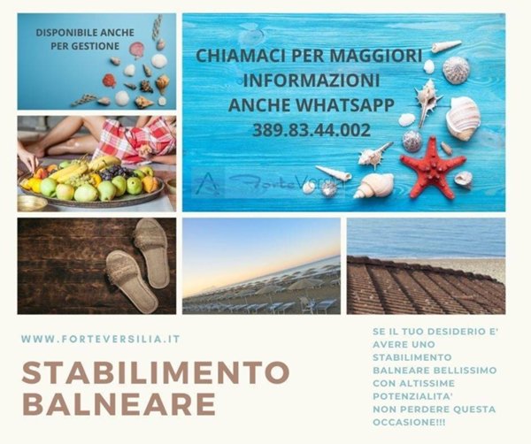 negozio in vendita a Massa in zona Marina dei Ronchi