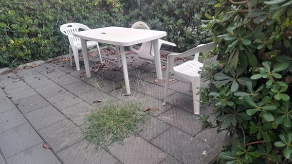 casa indipendente in vendita a Massa in zona Marina di Massa