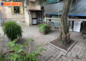appartamento in vendita a Massa in zona Quercioli