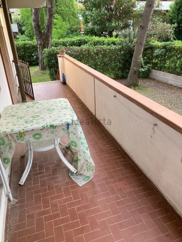 appartamento in vendita a Massa in zona Marina dei Ronchi