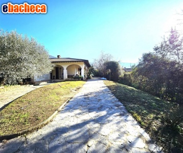 appartamento in vendita a Massa