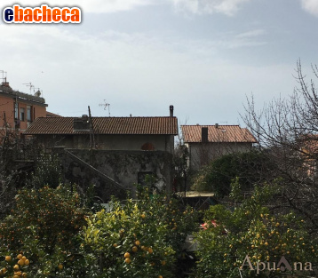 appartamento in vendita a Massa in zona Borgo del Ponte