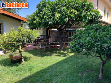 appartamento in vendita a Massa