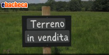 casa indipendente in vendita a Massa in zona Quercioli