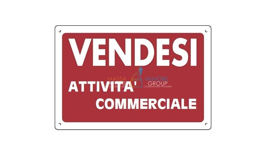 appartamento in vendita a Massa in zona Centro Storico