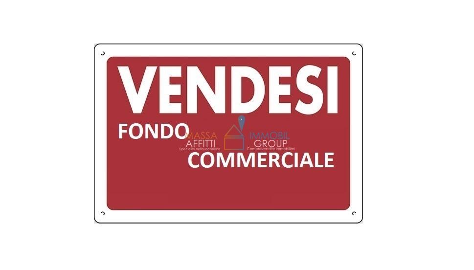 appartamento in vendita a Massa